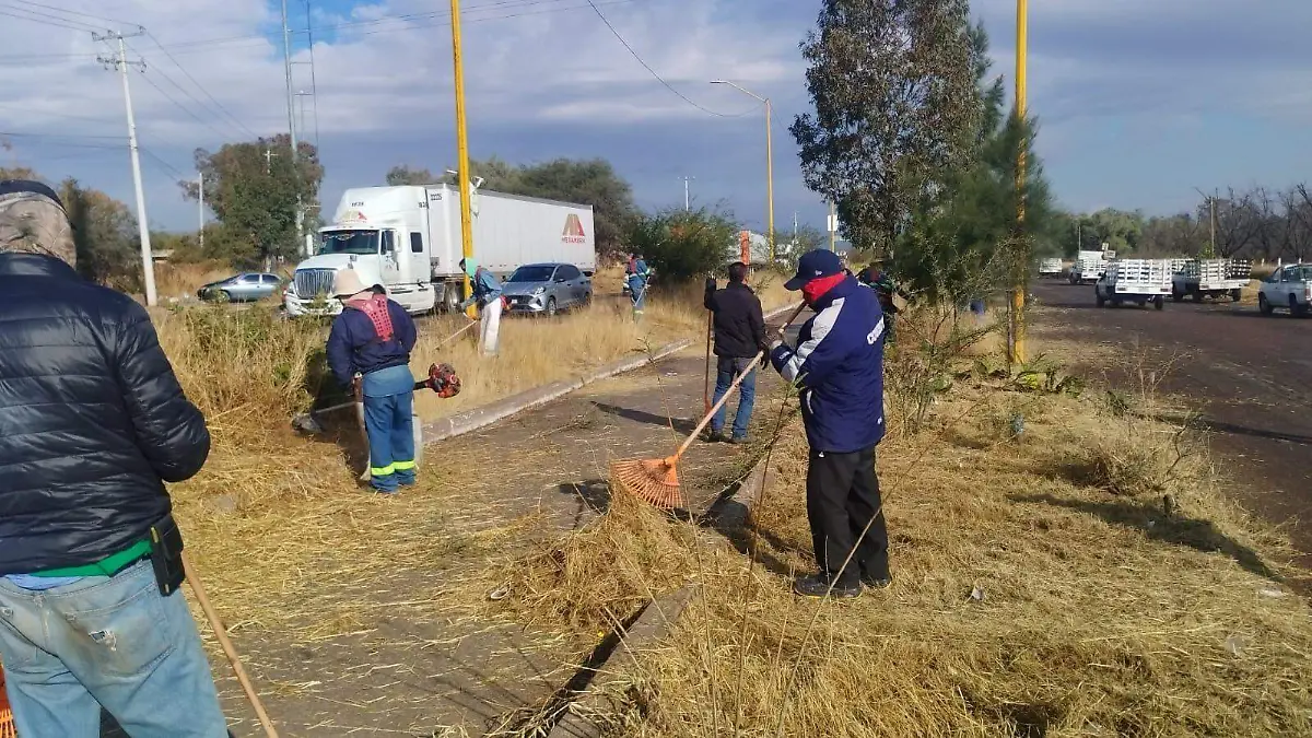 DESMALEZADO CARRETERA 1